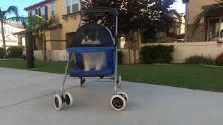 Assembly and cat review of BestPet pet stroller