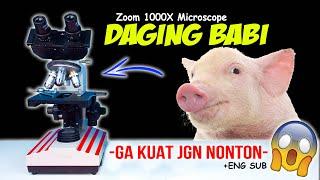 DAGING BABI SEGAR DI MIKROSKOP | Pig Meat Pork Microscope Zoom 1000X