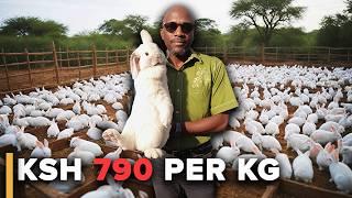 I Left Engineering to Start a Rabbit Farming Business | Rabbit farming in Kenya | #FarmingInKenya