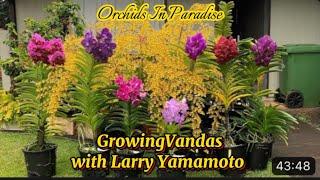 Growing Vandas with Larry Yamamoto