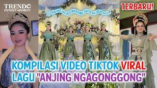 TERBARU! Kompilasi Video TIKTOK VIRAL Lagu "ANJING NGAGONGGONG", Tarian Jaipong Viral! FULL VIDEO!