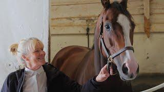 Women In Thoroughbred Racing (2024 HRA)