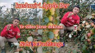 kashmiri Apple Ber//Farming in west Karbi anglong(Kheroni Mimaru Village) #Rajib Thengujam