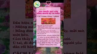 SỨC KHỎE NGÀN VÀNG | SỐNG KHỎE ĐẸP #SứcKhỏeNgànVàng  #SốngKhỏeĐẹp #suckhoe