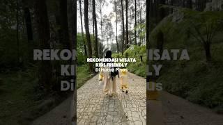 Rekomendasi wisata kids friendly di hutan pinus #wisatamagelang #wisataalam #tikarpiknik