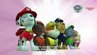 Anuncio Dodot Activity con personajes de la Patrulla Canina