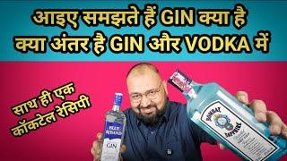 GIN kya hai | Difference in GIN & Vodka @nilgirikashyap #gin #vodka #cocktail