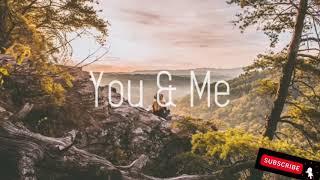 WildVibes - You And Me ft Fenris (Lyrics)