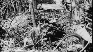 Action At Angaur, Palau 1945 World War II Pacific Film