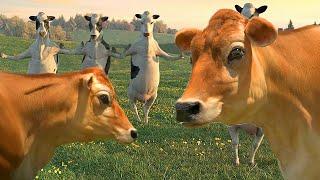 FUNNY COW DANCE 7 │ Cow Song & Cow Videos 2024
