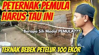 KHUSUS PEMULA‼️MODAL AWAL TERNAK BEBEK PETELUR 100 EKOR - RHY 4 #ternak #bebek #rhy4