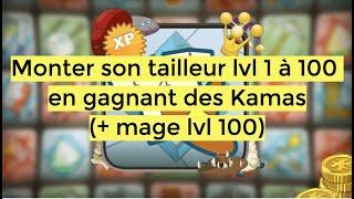 [DOFUS RETRO] Monter son métier Tailleur 1 à 100 en gagnant des Kamas (+ mage lvl 100)