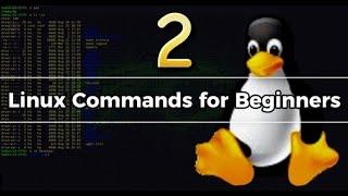 Mastering Linux Commands Tutorial 2: File Handling, Python Scripting & Text Manipulation