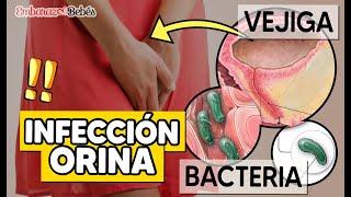 QUÉ TOMAR si tengo INFECCION URINARIA estando Embarazada Causas + prevención