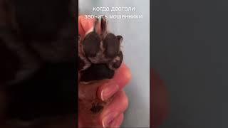 как обезопасить себя от мошенников!