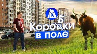 Градостроительные ошибки Новой Москвы: метро не туда, развязки в поле и коробки человейников