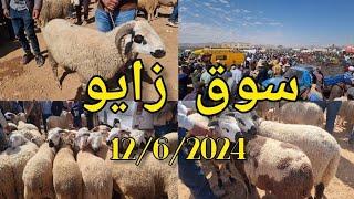اجواء سوق زايو ارتفاع اتمنة الأضاحي العيد حولي داير تمان zaio nador Maroc