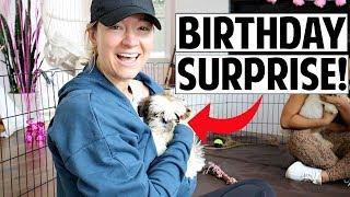 Huge Birthday Puppy Party Surprise! | Ashley Nichole Vlogs