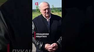 Лукашенко: Как мы живём? Не всегда правильно! shorts #лукашенко #новости #политика  #беларусь