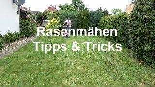 Rasen mähen Wie mäht man den Rasen Rasenmähen Tipps und Tricks