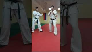 Bunkai Kumite -8 (Shikon Dojo, Kazan, Tatarstan) shihan Robert Hatmullin