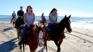 Equine Adventures- Horseback Riding on the Outer Banks