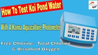 How To Test Koi Pond Water Parameters With A Hanna Photometer - Part 2 - Chlorine & Dissolved Oxygen