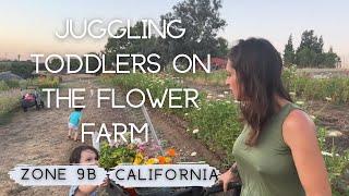 Full Time Mom/Full Time Flower Farmer: HARVESTING FLOWERS WITH TODDLERS #workingmom