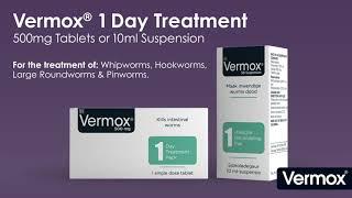 Vermox 1 day treatment | Available at Clicks now