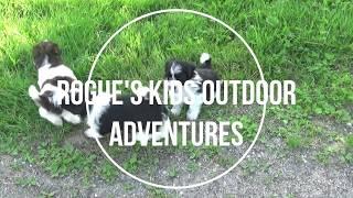 Rogue's kids outdoor adventure