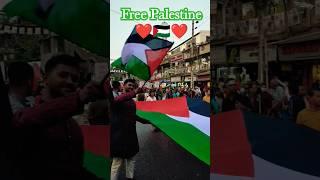 Free Palestine #palestine #freepalestine #palestine #viral #trending #subscribe #shorts #shortvideo