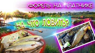 Уроки ловли форели на платнике. Как поймать форель новичку. Ловля форели на платнике Парус юг.