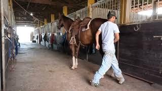 Team Roping - Fido Dio's Ranch (Go Pro)