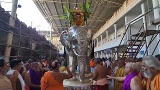 Raghavendra Swamy Rathotsavam / Mantralayam Temple /swami rupam