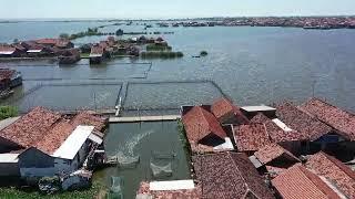 Drone Shot of Pekalongan Flooded Neighborhood