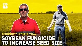 Soybean Fungicide To Increase Seed Size (Extended) | Beck's Agronomy Update