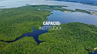 ONU e Brasil lançam Fundo para a Amazônia