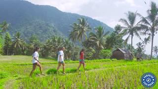 Paradise Explorers: Sekumpul Waterfall and Bedugul Botanical Gardens Tour