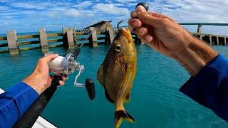 Multi-Species Bridge Fishing The Florida keys - Catch, Clean, Cook On The Water Snapper Snack