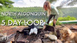 North Algonquin 5 Day Canoe Camping Loop, Steak on The Coals, Swimming with Our Dog