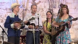 The FOGHORN STRINGBAND, "Go Home", Westport Folk & Bluegrass Festival 2016