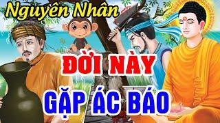 Chuyện Nhân Quả Báo Ứng Hiện Đời, Giải Thích Nguyên Nhân Vì Sao ĐỜI NÀY GẶP ÁC BÁO|Báo Ứng Rợn Người