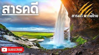 สารคดีสัตว์โลก สำรวจโลกธรรมชาติและสิ่งมีชีวิตของ ไอซ์แลนด์ l สารคดี  สารคดีพากย์ไทย