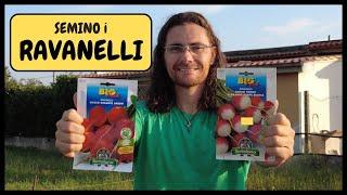 COME e QUANDO seminare i RAVANELLI utilizzando la BAULATURA | Tutorial Agricoltura