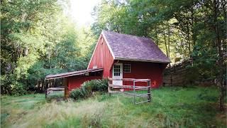 I Turned this 3-Level Abandoned Stable into a Dream Woodland Tiny House