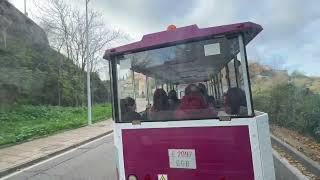 City bus tour around toledo