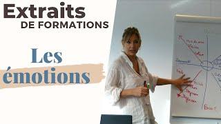 Extrait de formation, les émotions en PNL – Réa-Active, formations PNL