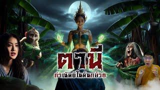 กำเนิดนางตานี ผีสาวในดงกล้วย | ตำนานดูดิ EP.03