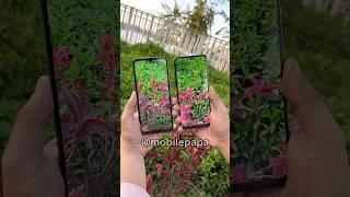 Redmi Note 12 Vs Redmi A3 Camera Test  #shorts #redminote12 #redmia3 #comparison #xiaomi