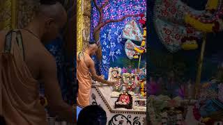 Sankirtan, Aarti, Darshan & Blessings- Divine Moments from Gupt Vrindavan Dham